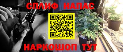 мдма Тверь