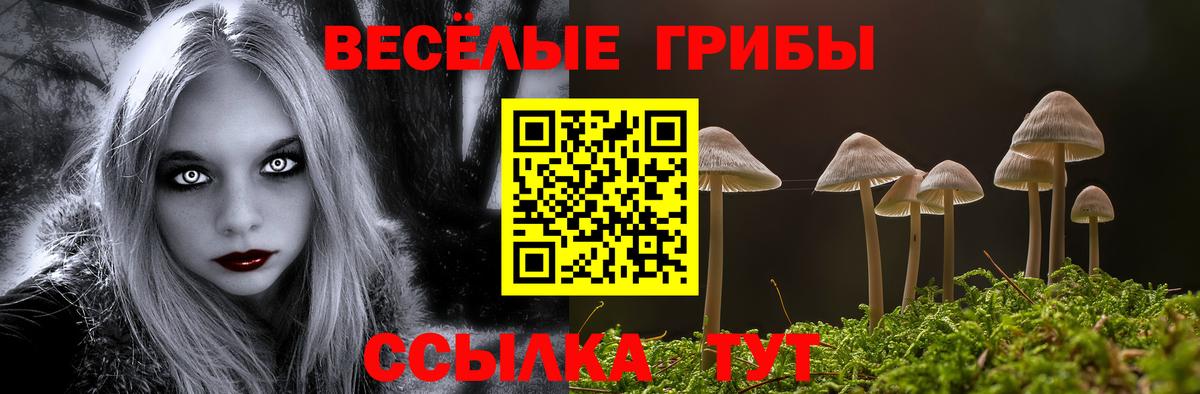 Галлюциногенные грибы Magic Shrooms Тайшет